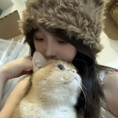 狐狸与我国语 在线观看